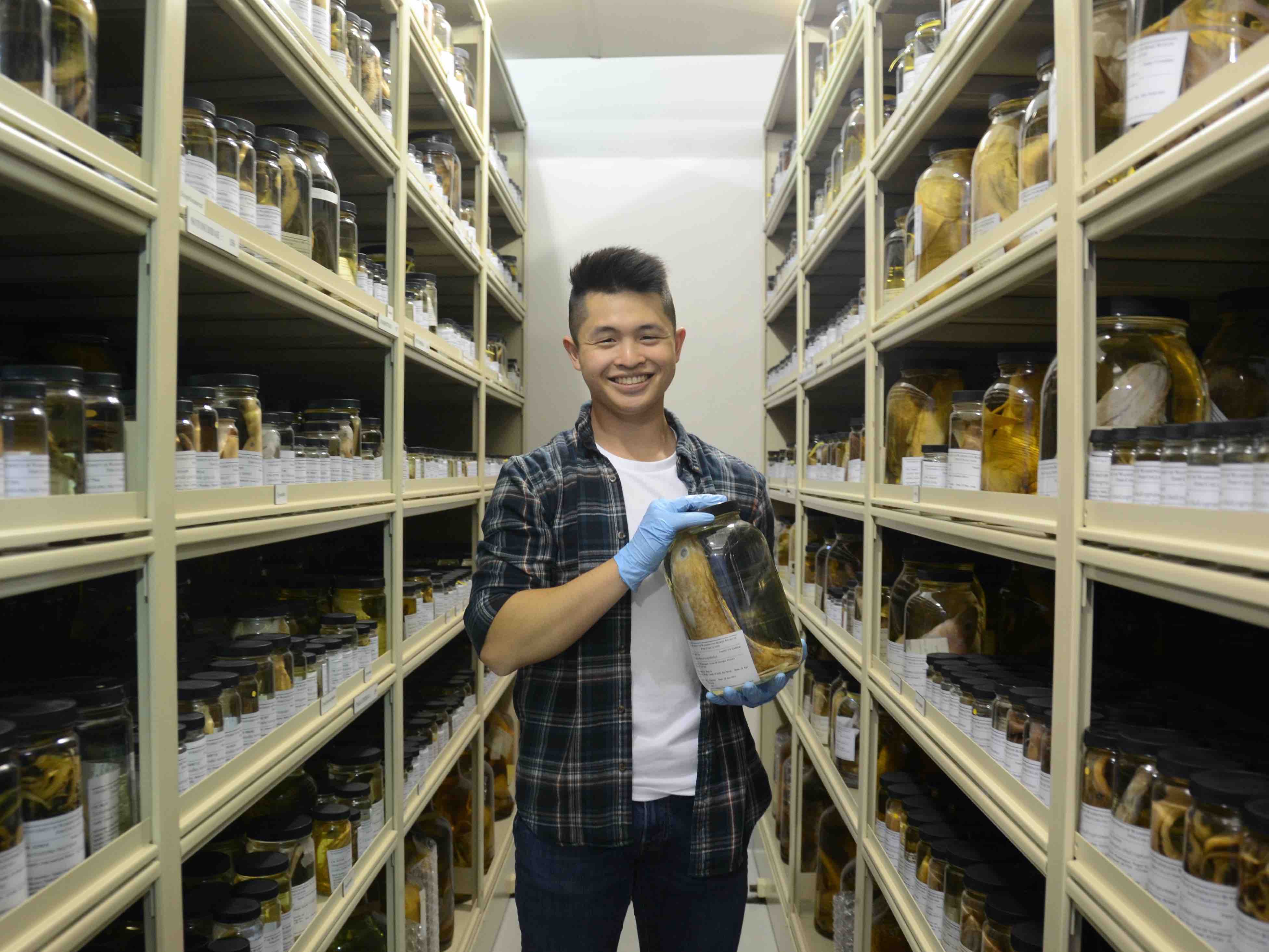 Jonathan in the University of Washington Fish Collection